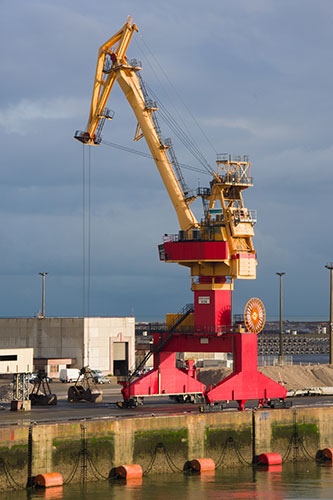 crane-4657628